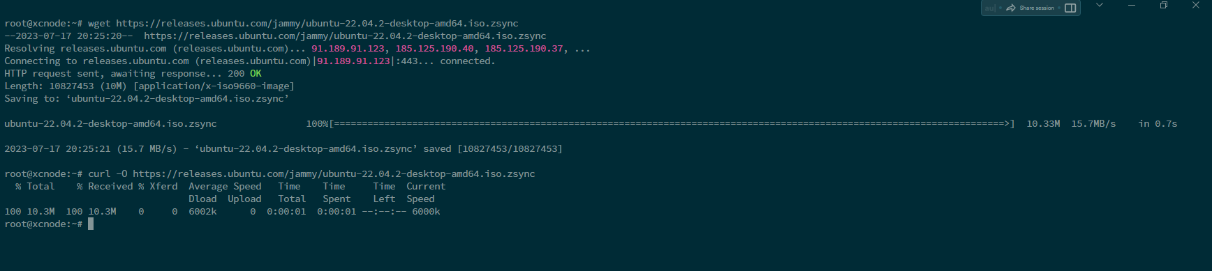 What is the Difference Between Curl vs Wget Commands